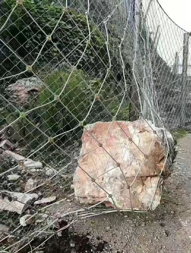 被動防護網